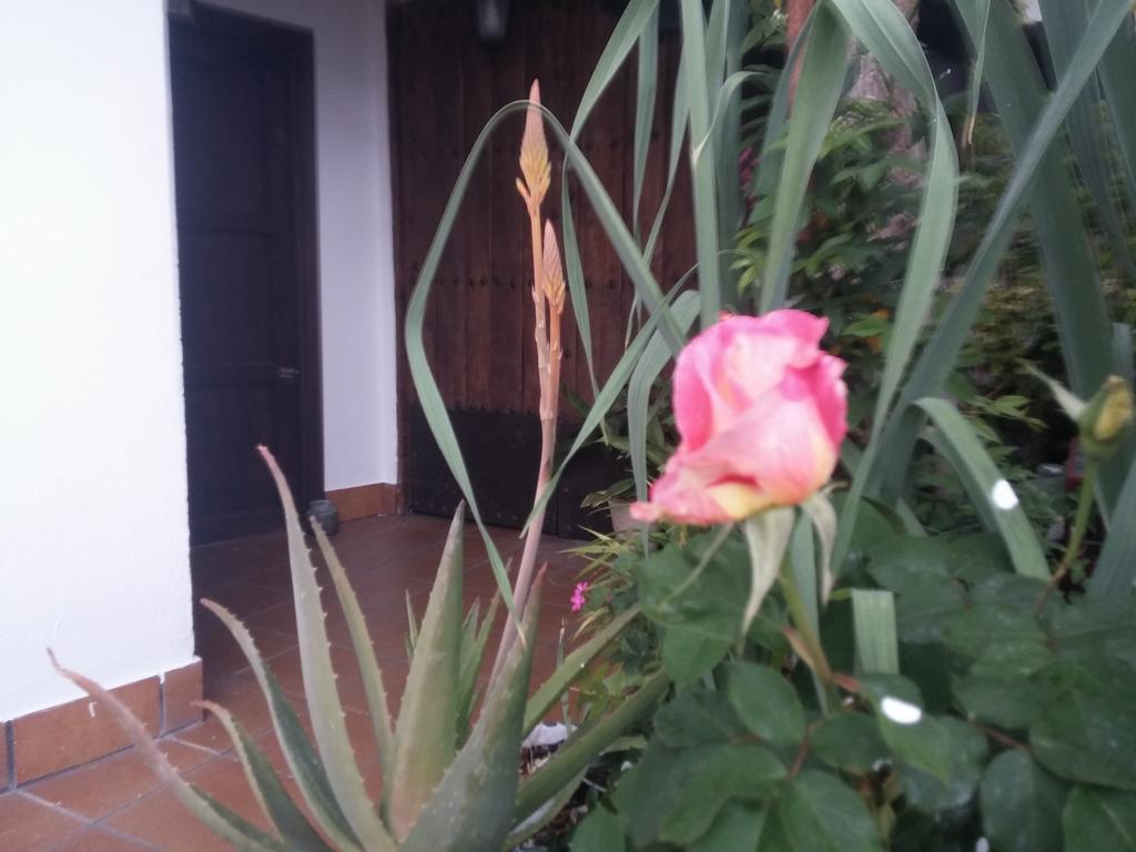 Balcon Del Velillos-"Rincon De Marcelo" Tozar Eksteriør bilde