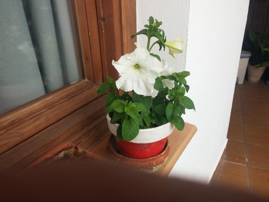 Balcon Del Velillos-"Rincon De Marcelo" Tozar Eksteriør bilde