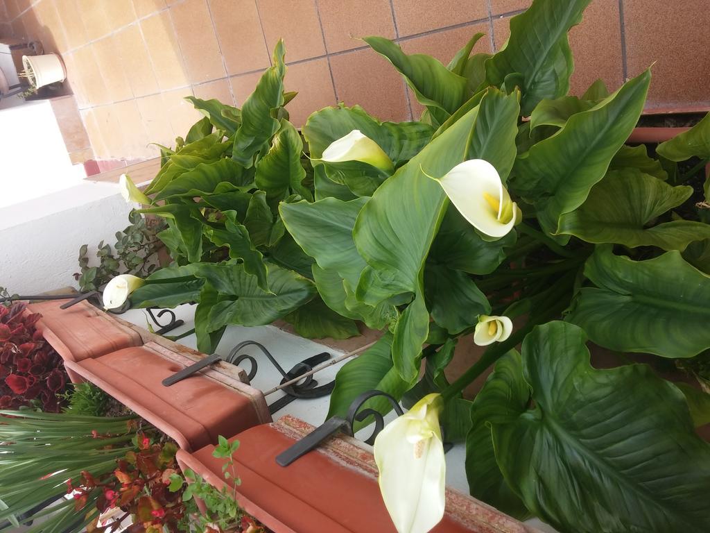 Balcon Del Velillos-"Rincon De Marcelo" Tozar Eksteriør bilde